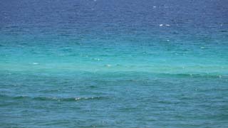 Reef line centered in Gulf waters